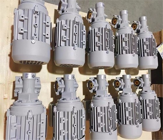 艾思捷為德資企業定制的紡織專用蝸輪蝸桿減速機 (2).jpg